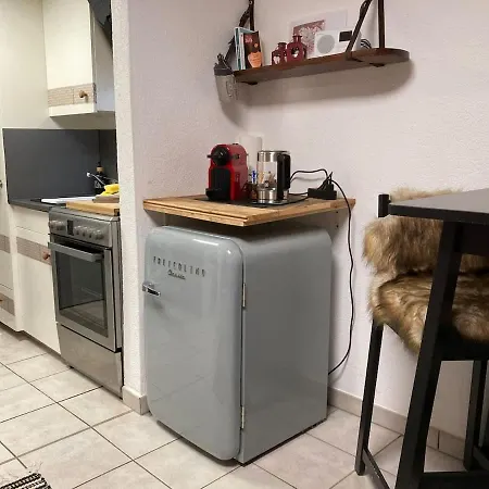 Apartament House St-george Alpine With Terrace And View On Village *