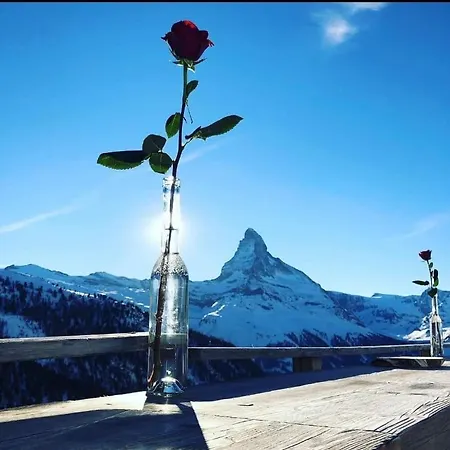 Apartament House St-george Alpine With Terrace And View On Village Zermatt