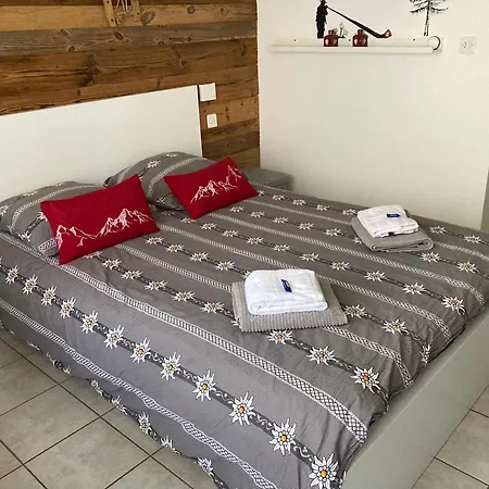 Apartament House St-george Alpine With Terrace And View On Village Zermatt